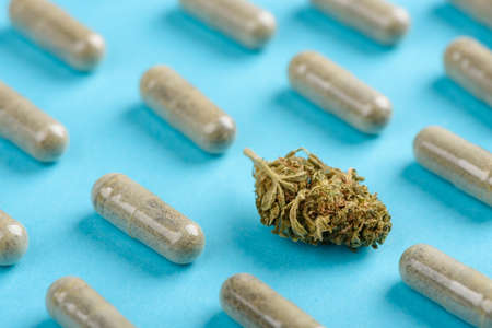 CBD cannabis bud among green capsules pattern on blue backgroundの写真素材