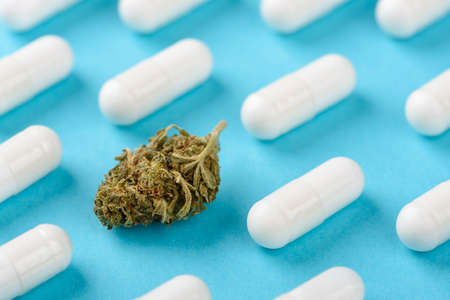 CBD cannabis flower bud among white capsules patternの写真素材