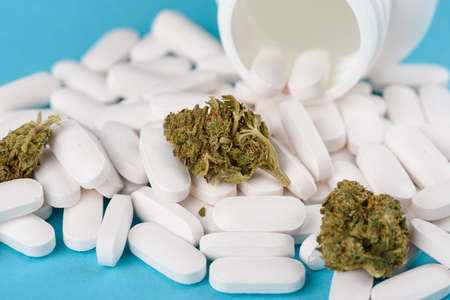 CBD cannabis flower buds on heap of capsules from open bottle on blue backgroundの写真素材