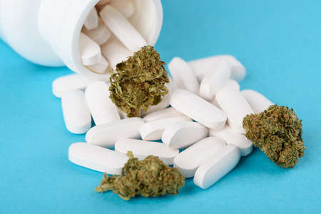 CBD cannabis flower buds on heap of capsules from open bottle on blue backgroundの写真素材