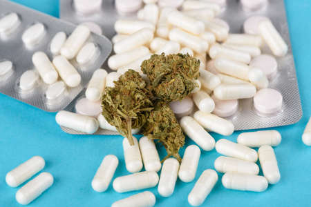 CBD cannabis flower buds on heap of capsules and pills on blue backgroundの写真素材