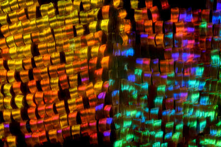 Extreme macro of butterfly wing coloful iridescent scales under the microscopeの写真素材