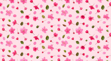 Seamless floral pattern of apple tree flowers buds leaves and petals on pink background flat lay top viewの写真素材