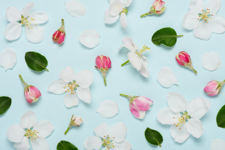 Floral pattern from white apple tree flowers buds leaves and petals on blue background flat lay top viewの写真素材