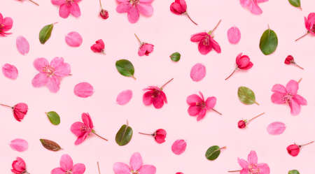 Seamless floral pattern of apple tree blooming flowers buds leaves and petals on pink background flat lay top viewの写真素材