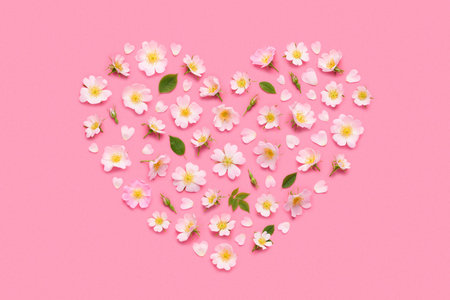 Rose flowers, leaves buds and petals in heart shape on pink background top view flat layの写真素材