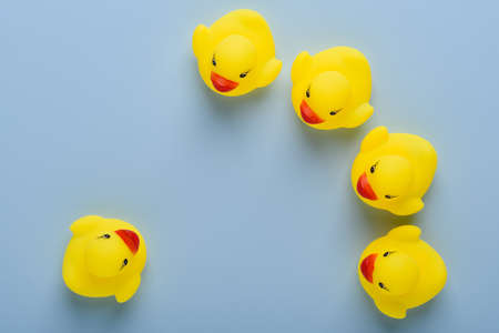 One rubber duck in front of group, announcement, education or meeting concept, on blue background top viewの写真素材