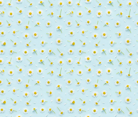 Seamless floral pattern of fresh chamomile flowers and petals on blue background top view flat layの写真素材