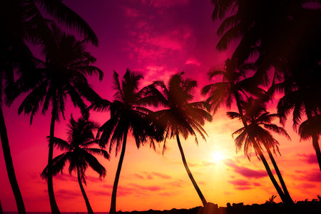 Colorful pink sunset on tropical ocean beach with coconut palm trees silhouettes and shining sunの写真素材