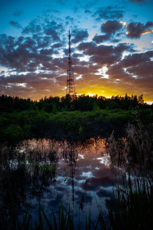 TV and radio tower, as well as its reflection in a small lake near the city at sunset. Against the background of clouds, a forest and a seagull flying in the sky.の写真素材