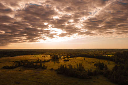 Fields and forests in rural areas in Russia, sunlight and shade from treesの写真素材