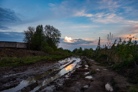Dirty recent rain-drenched road in spring, cloudy blue skies and trees