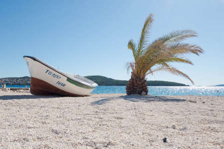 A small wooden boat and a palm tree on the beach with stones in summer near the sea in Croatia on a sunny summer day.の写真素材