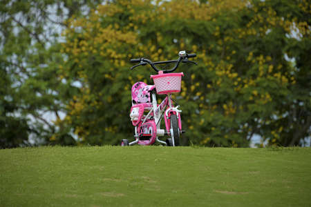 Ho Chi Minh City, 20 March 2021: Pink girly children tricycle with front basket, taken on green grass in daylightのeditorial素材