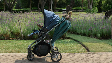 Ho Chi Minh City, 21 March 2021: Blue used lightweight baby stroller on concrete pavement block in front of purple flower fieldのeditorial素材