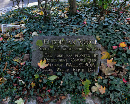 Brussels, Belgium, 20 November 2019: Memorial stone board placed on leaves and trees as remembrance of environment commissioner Margot Warstromのeditorial素材