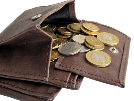 wallet with polish coins