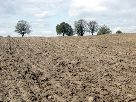 view of plowed fieldの写真素材