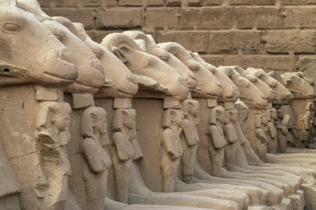 Line of ram-headed sphinxes, presenting egyptian god Amon, holding figure of pharaoh Ramesses II between pawsの写真素材