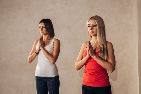 two young women on yoga classes,hands together,yoga, fitness, sport, and healthy lifestyle concept - two women making yoga exersiceの写真素材
