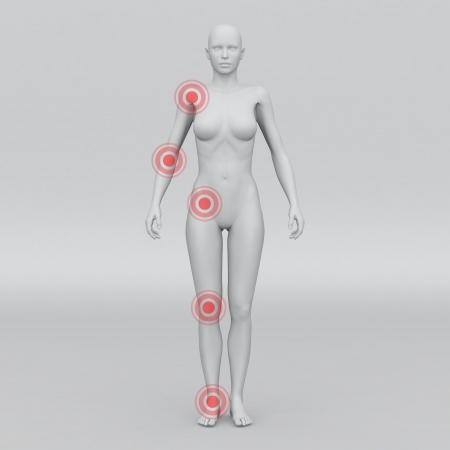 Female human anatomy and jointsの写真素材