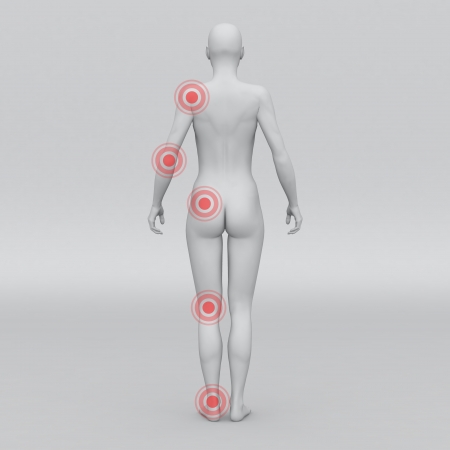 Female human anatomy and jointsの写真素材
