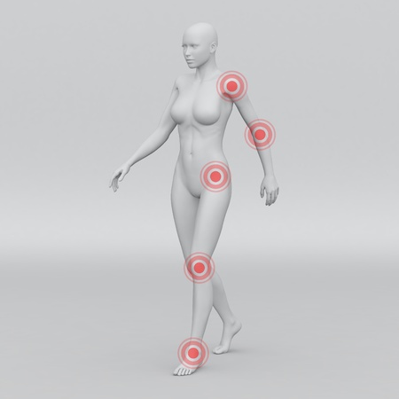 Female human anatomy and jointsの写真素材