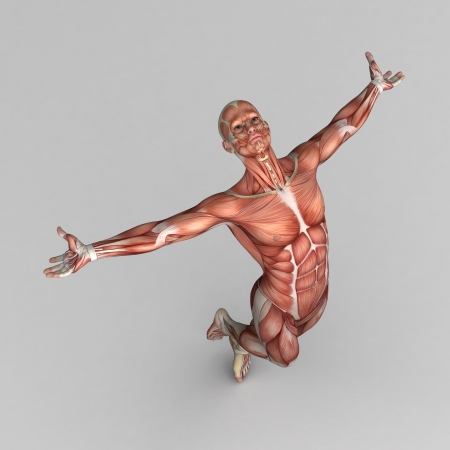 Athletic male human anatomy and musclesの写真素材