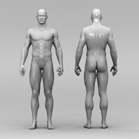 Athletic male human anatomyの写真素材