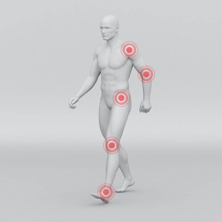 Athletic male human anatomy and jointsの写真素材