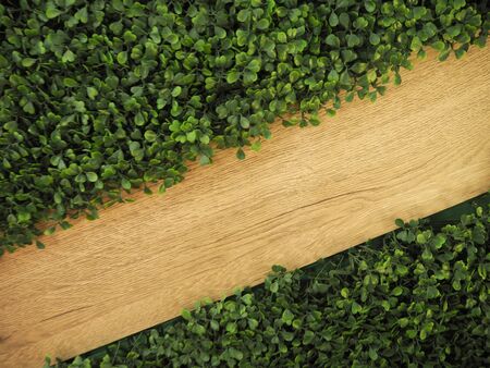wood and green grass texture backgroundの写真素材