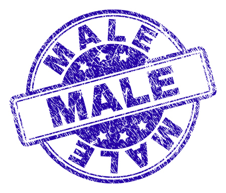 MALE stamp seal imprint with distress texture. Designed with rounded rectangles and circles. Blue vector rubber print of MALE title with scratched texture.のイラスト素材