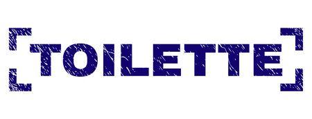 TOILETTE title seal stamp with grunge texture. Text title is placed inside corners. Blue vector rubber print of TOILETTE with retro texture.のイラスト素材