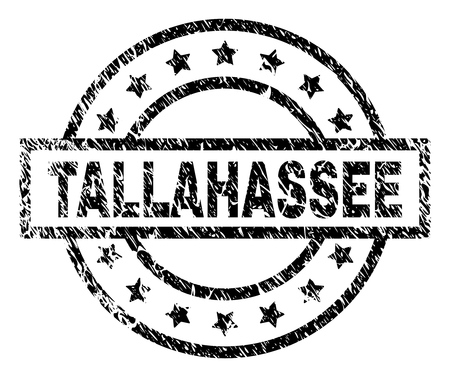 TALLAHASSEE stamp seal watermark with distress style. Designed with rectangle, circles and stars. Black vector rubber print of TALLAHASSEE title with scratched texture.のイラスト素材