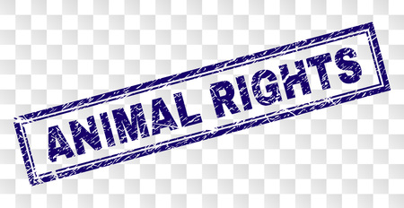 ANIMAL RIGHTS stamp seal print with grunge style and double framed rectangle shape. Stamp is placed on a transparent background. Blue vector rubber print of ANIMAL RIGHTS text with grunge texture.のイラスト素材