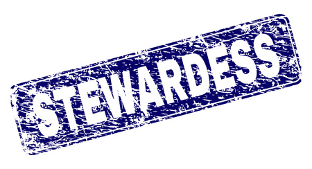 STEWARDESS stamp seal imprint with grunge style. Seal shape is a rounded rectangle with frame. Blue vector rubber print of STEWARDESS title with grunge style.のイラスト素材