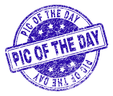 PIC OF THE DAY stamp seal imprint with distress texture. Designed with rounded rectangles and circles. Blue vector rubber print of PIC OF THE DAY title with scratched texture.のイラスト素材