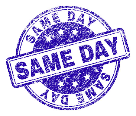 SAME DAY stamp seal imprint with grunge texture. Designed with rounded rectangles and circles. Blue vector rubber print of SAME DAY caption with unclean texture.のイラスト素材