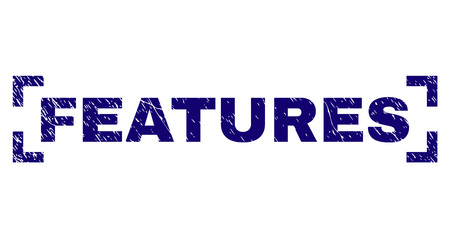 FEATURES text seal stamp with distress texture. Text tag is placed between corners. Blue vector rubber print of FEATURES with dirty texture.のイラスト素材