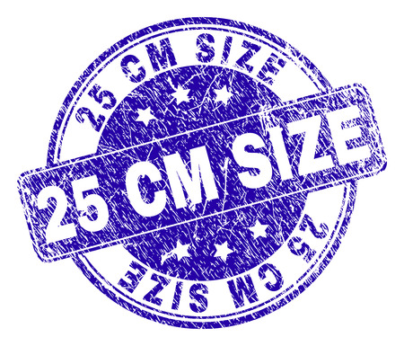 25 CM SIZE stamp seal watermark with grunge effect. Designed with rounded rectangle and circles. Blue vector rubber watermark of 25 CM SIZE title with dirty texture.のイラスト素材