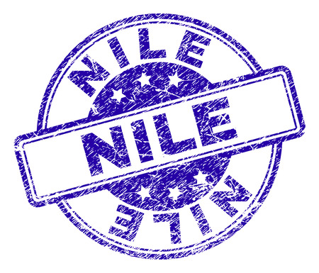 NILE stamp seal imprint with grunge texture. Designed with rounded rectangles and circles. Blue vector rubber print of NILE caption with grunge texture.のイラスト素材