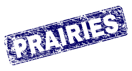 PRAIRIES stamp seal print with distress style. Seal shape is a rounded rectangle with frame. Blue vector rubber print of PRAIRIES text with scratched style.のイラスト素材