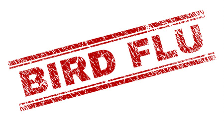 BIRD FLU seal imprint with corroded texture. Red vector rubber print of BIRD FLU label with corroded texture. Text label is placed between double parallel lines.のイラスト素材
