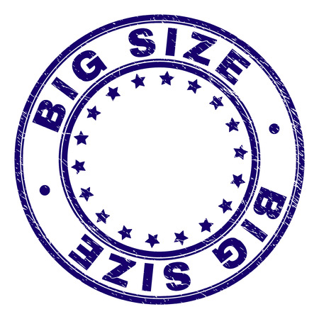 BIG SIZE stamp seal watermark with grunge style. Designed with circles and stars. Blue vector rubber print of BIG SIZE label with grunge texture.のイラスト素材