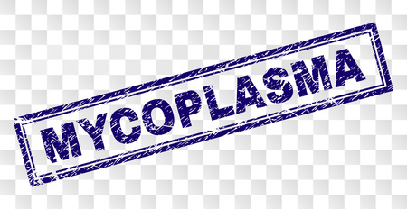 MYCOPLASMA stamp seal print with rubber print style and double framed rectangle shape. Stamp is placed on a transparent background. Blue vector rubber print of MYCOPLASMA title with dust texture.のイラスト素材