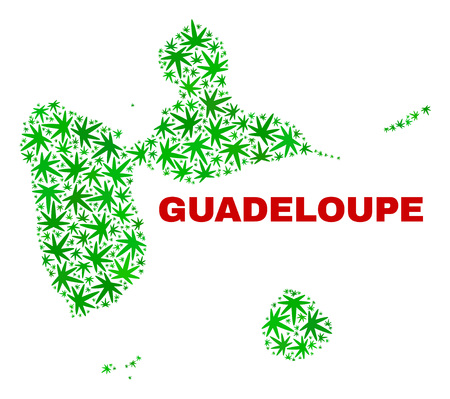 Vector cannabis Guadeloupe map mosaic. Template with green weed leaves for hemp legalize campaign. Vector Guadeloupe map is designed with weed leaves.のイラスト素材