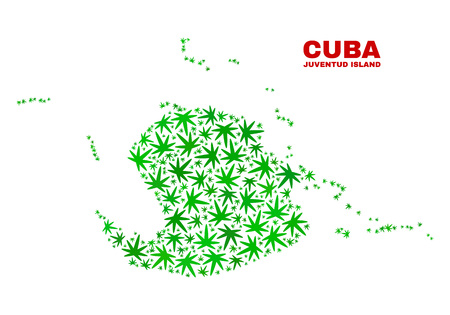 Vector marijuana Juventud Island map collage. Concept with green weed leaves for marijuana legalize campaign. Vector Juventud Island map is created from weed leaves.のイラスト素材