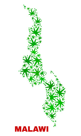 Vector marijuana Malawi map mosaic. Concept with green weed leaves for marijuana legalize campaign. Vector Malawi map is constructed with herbal leaves.のイラスト素材