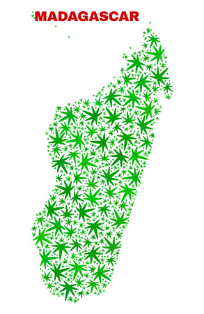 Vector marijuana Madagascar Island map collage. Concept with green weed leaves for weed legalize campaign. Vector Madagascar Island map is constructed with weed leaves.のイラスト素材