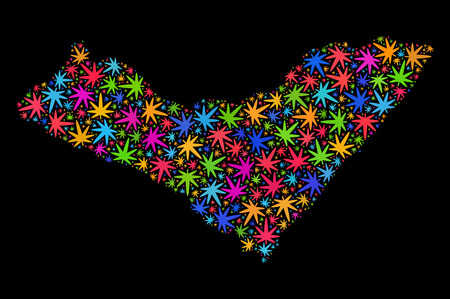 Bright vector cannabis Alagoas State map collage on a black background. Concept with multi-colored weed leaves for weed legalize campaign. Vector Alagoas State map is formed with cannabis leaves.のイラスト素材